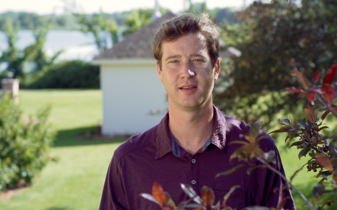 Bachman’s How To Series